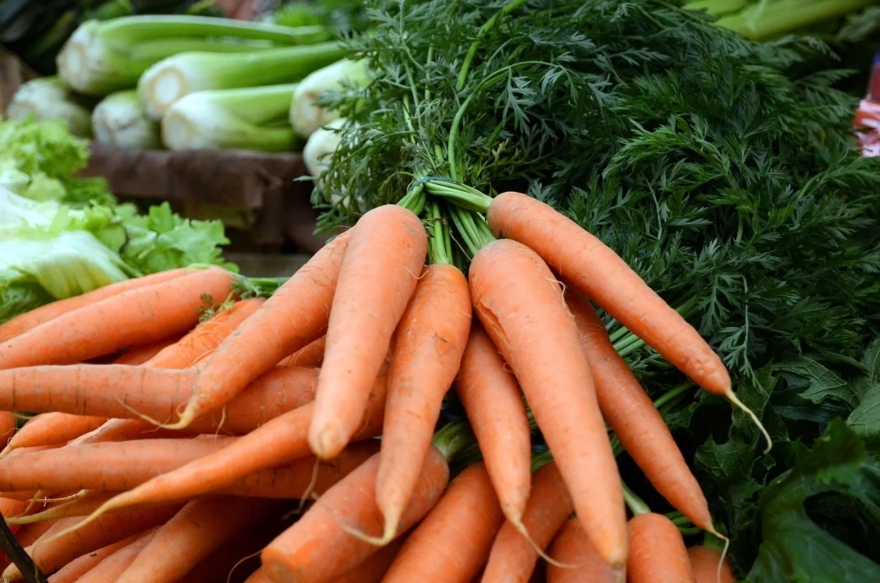 marchew, vegetables, warzywa, vegetale, wegetariański, rolnictwo, jedzenie, wegańskie
