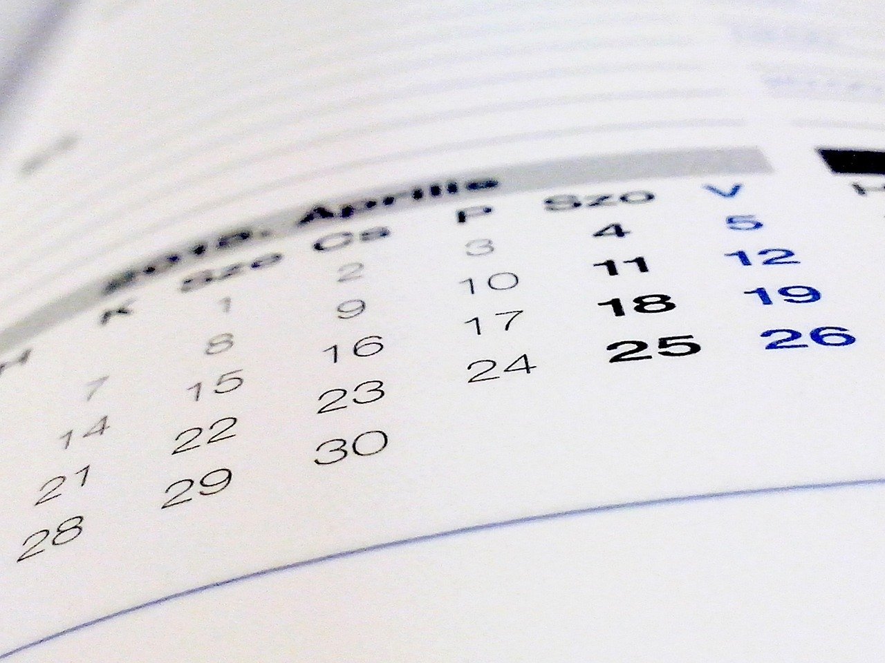 book, calendar, paper, calendar, calendar, calendar, calendar, calendar