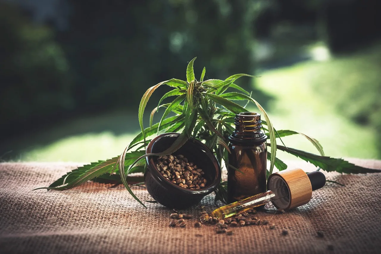 cbd, cannabidio, olej cbd, olej z nasion konopi, chwast, konopie, kannabinoinowy, olej, zdrowie, thc, medyczny, zielony