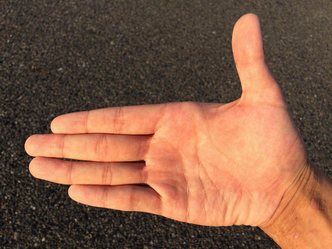 hand, finger, skin, palm, male, women, man, woman, right hand, young, japanese, people, body, parts, health, blood vessels, fortune-telling, left hand, fingerprint, joint, hand sweat, hand care, hirate, beauty, moisturizing, dry, skin color, wrist, rough hands, lifeline, marriage line, economic fortune, good luck, bare hands, bare skin, maintenance, bright, compact, ideal, healthy, destiny, life, happy, pot, massage, tired, heal, hand massage, power, horoscope, reincarnation, previous life, religion, buddhism, gender, equality, society, praise, strong, lucky, unlucky, efficiency, energy, salon, esthetic, marriage, lonely, single, fortune, body parts, message, list, write, note, signboard, expression, screen, synthetic, reflect, mirror, gesture, please, guidance, here, recommendation, over there, there, there it is, palmistry, medical care, medicine, hospital, surgery, illness, clinic, right hand, right hand, right hand, right hand, right hand, palmistry, palmistry, palmistry