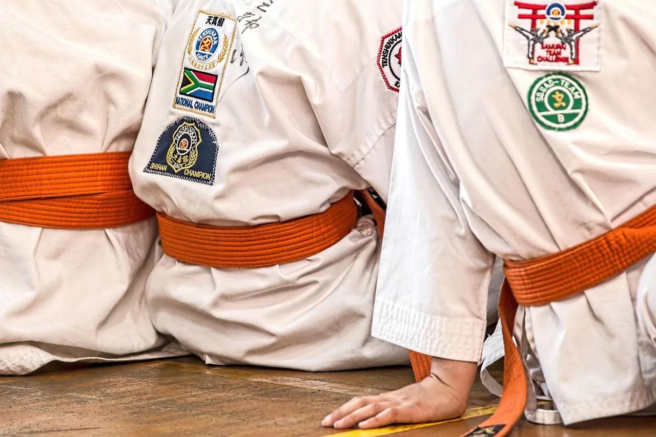 karate, mundur, sportowcy, posiedzenie, pasek, pomarańczowy pasek, karategi, sztuki walki, sport, zawody, obrona, szkolenie, zdatność, działalność, karate, karate, karate, karate, karate, sztuki walki