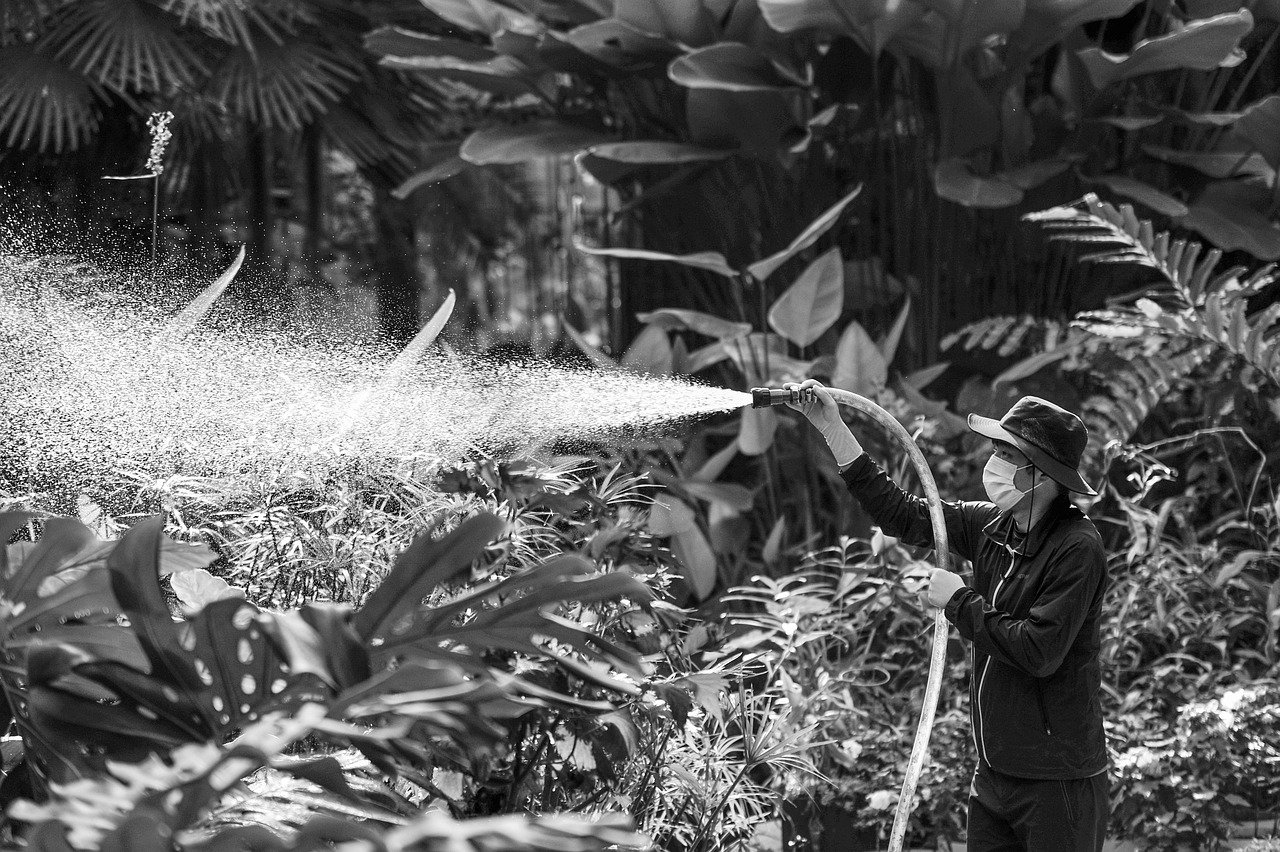 spray, sprayer, water, watering, nature, plant, botanical garden, worker, gray-scale, black and white photo, man, working