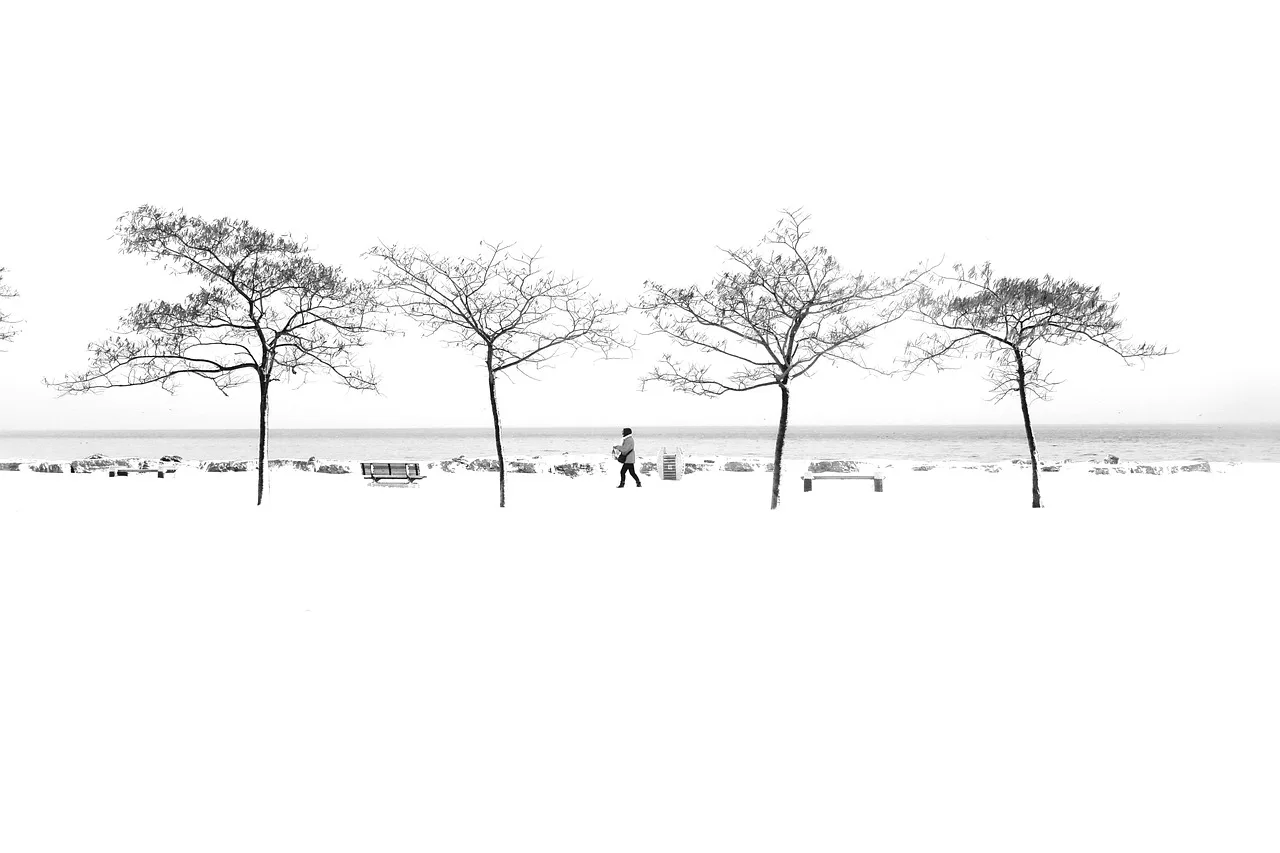 minimalny, zima, walking, person, turystyka, kobieta, człowiek, las, śnieg, natura, krajobraz, ludzie, młody, wolność, ulica, motivation, prysznice, dziewczynka, adventure, miasto, active, backpacker, activity, ściana, way