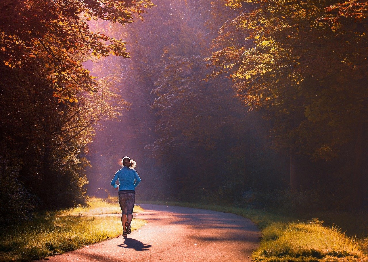 to run, woman, morning, girl, walk, walks, nature, sportswear, outdoor, sports, train, sportive, movement, triathlon, athletic, sport, jogger, sunbeam, training, peace, fitness, runner, jog, athlete, healthy, forest