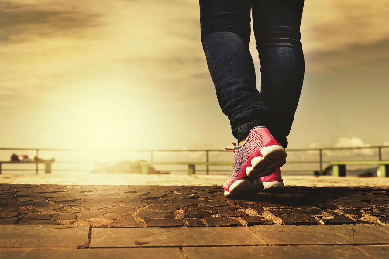 legs, shoes, walking, walk, path, trail, rubber shoes, feet, woman, young, exercise, physical, activity, walking, walking, walking, walking, walking, walk, walk, exercise