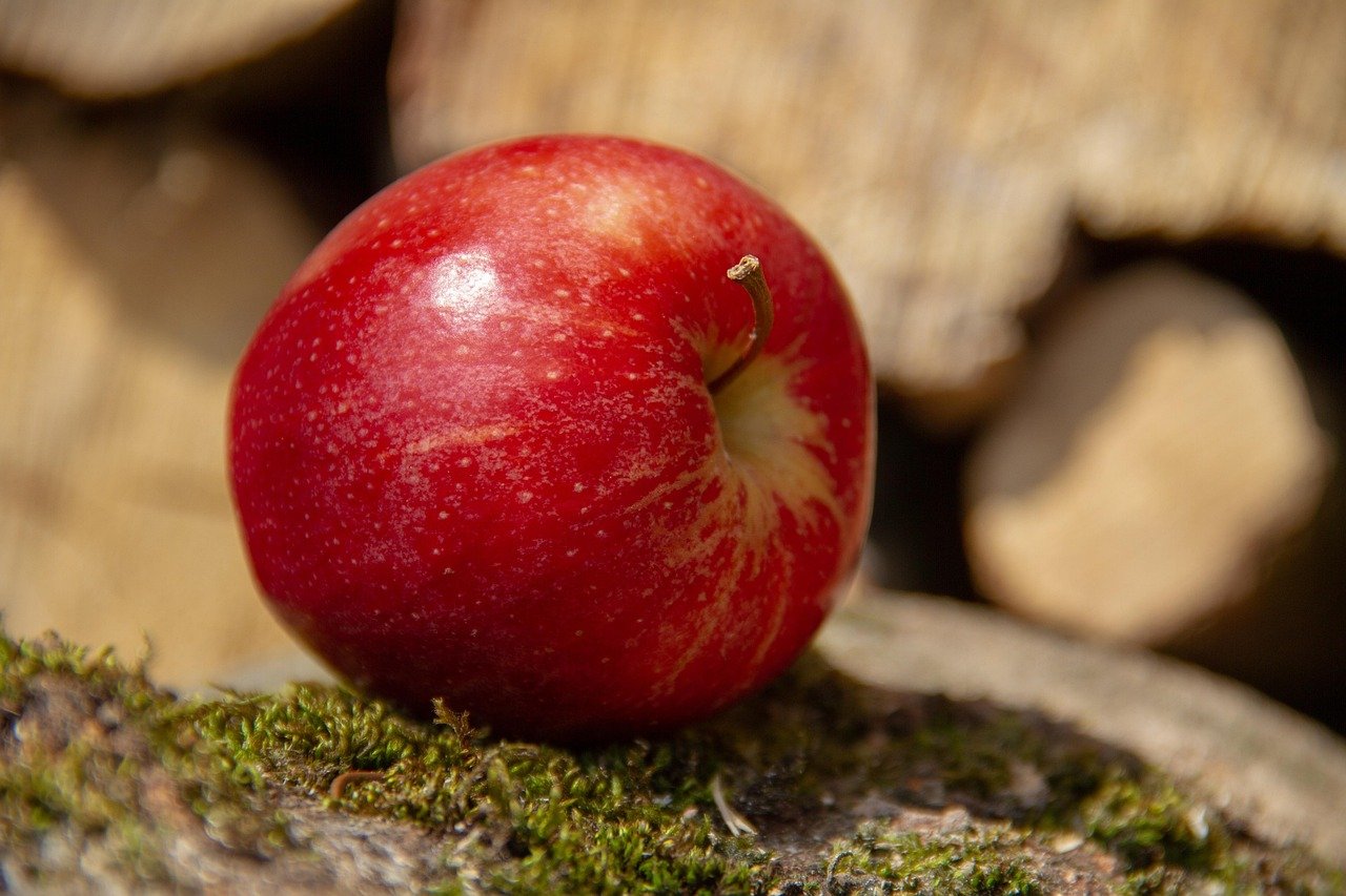 apple, fruit, red, food, healthy, vitamins, apple, apple, apple, apple, apple
