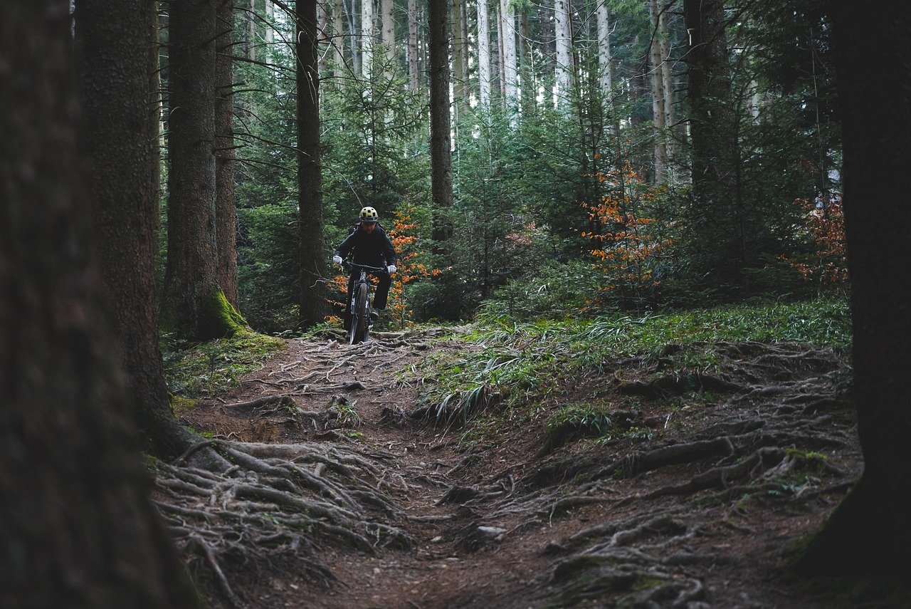 trail riding, trail cycling, nature, forest, woods, bike ride, mountain biking, trail, mountain bike, sports