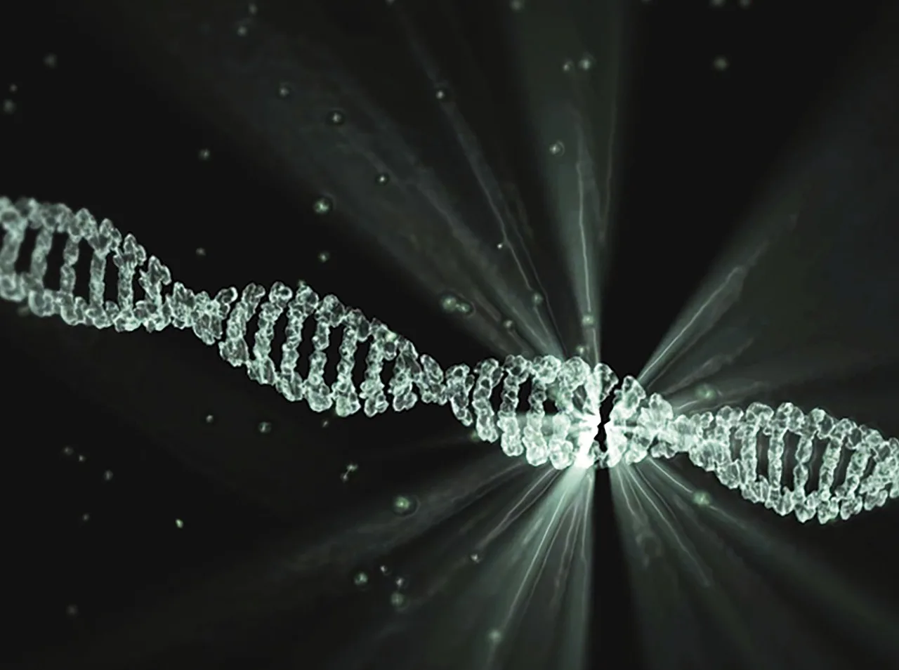 dna, projekt lumina, walter waymann, dna, dna, dna, dna, dna