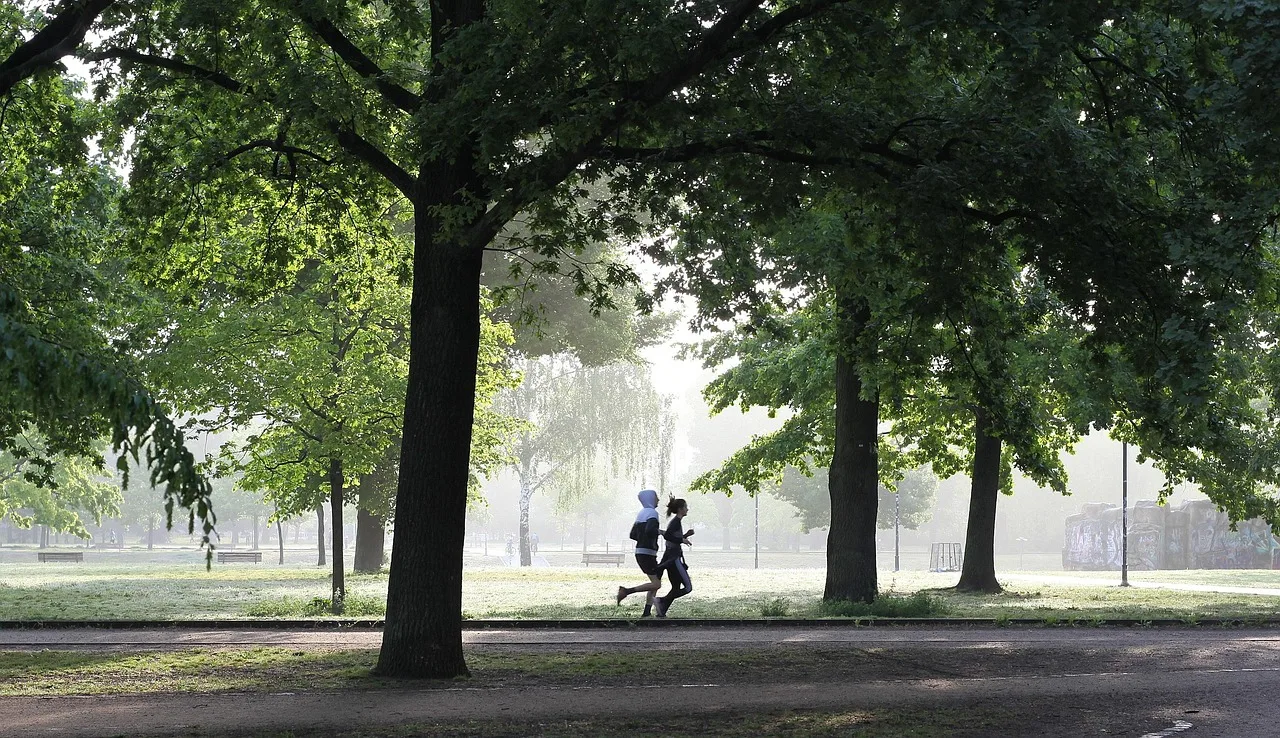 jogging, zdatność, uprawiający jogging, ruch, pasować, uruchomić, park, sport, biec truchtem, ludzie, osoba, sportowiec, jogging, jogging, ruch, park, park, park, park, park, sport, sport, sport, sport