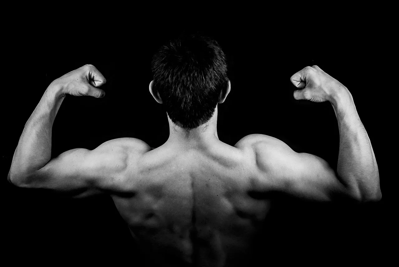 facet, muskularny, plecy, mężczyzna, pasować, krzepki, silny, mięśnie, biceps, triceps, kulturysta, czarny i biały, monochromia, plecy, mężczyzna, mężczyzna, mężczyzna, mężczyzna, mięśnie, mięśnie, mięśnie, mięśnie, mięśnie, biceps, kulturysta