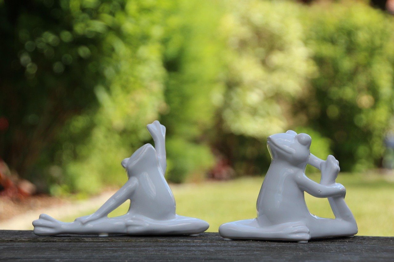 yoga, frogs, gymnastics