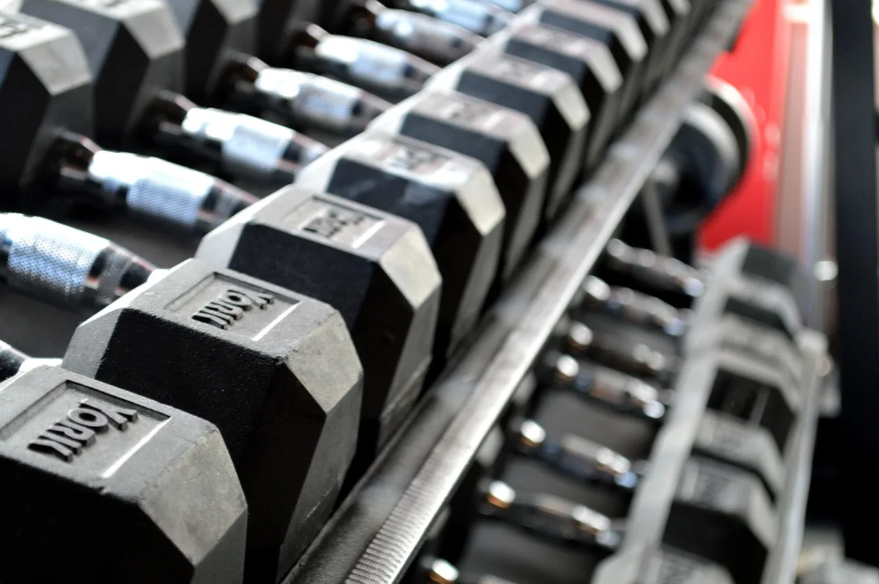 zdatność, podnoszenie ciężarów, hantle, ćwiczenia, siłownia, podnoszenie, ćwiczyć, pasować, kulturystyka, sportowiec, siła, szary fitness, szary siłownia, szary ćwiczeń, szary treningu, siłownia, siłownia, siłownia, siłownia, siłownia