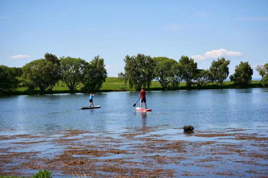 Two people paddleboarding on a picturesque lake surrounded by trees under a clear blue sky.