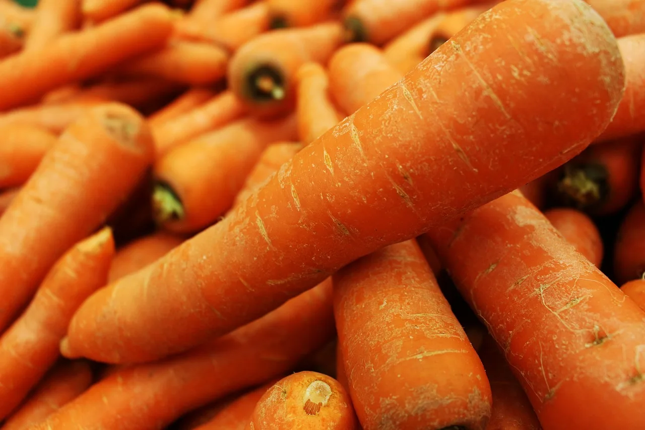 marchew, vegetable, marchewka, healthy, marchew background, carrots background, pomarańczowy, jedzenie, fresh, organic, vegetarian, ripe, naturalne, ingredient, raw, dieta, root, zbliżenie, nutrition, health, marchewka, marchewka, marchewka, marchewka, marchewka