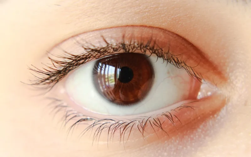 eye, brązowy, iris, wyglądać, skupiać, ścieśniać, makro, dziewczynka, young, płeć żeńska, skin, attractive, człowiek, vision, caucasian, piękny, eyelashes, eye, eye, eye, eye, eye