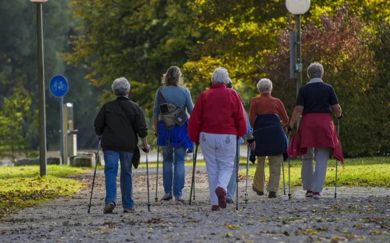 nordic walking, spacerowicz, chodzić, razem, ludzie, czas wolny, nordic walking, nordic walking, nordic walking, nordic walking, nordic walking