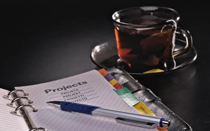 pen, ballpoint, natura, obiekt, write, ink, gabinet, plan, project, success, desktop, stół, desk, information, document, open, notepad, communication, papier, conceptual, work, accessories, szczegół, herbata, traditional, water