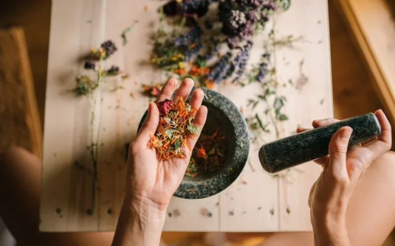Hands grinding dried herbs with a mortar and pestle, perfect for holistic medicine and aromatherapy.