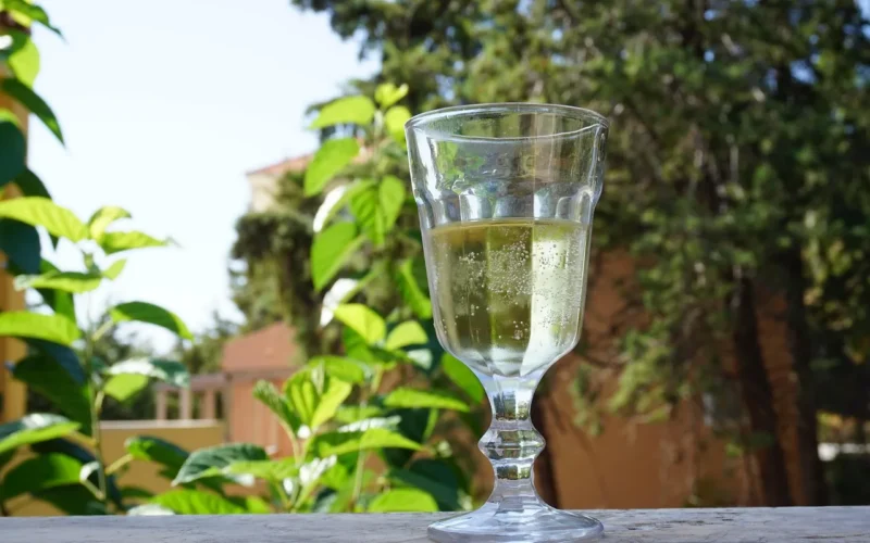 holiday, wine, cheers