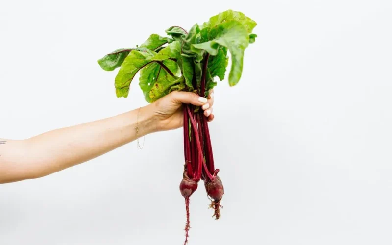 Hand holding vibrant fresh beetroots with green leaves against a simple white background.