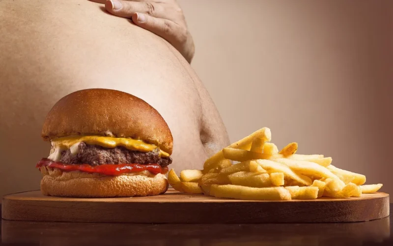 hamburger, p, frytki, brzuch, brzucha tłuszcz, gruby, pełny, wypełniony, otyłość, nadmiar, nadwaga, przekąska, fast food, niezdrowy, zdrowy, zdrowie, dieta, jedzenie, nawyki żywieniowe, apetyt, otyłość, otyłość, otyłość, otyłość, otyłość, nadwaga, fast food