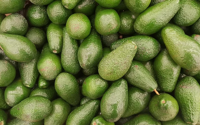restauracja avocado, owoc, vegetarian, awokado, awokado, awokado, awokado, awokado, awokado