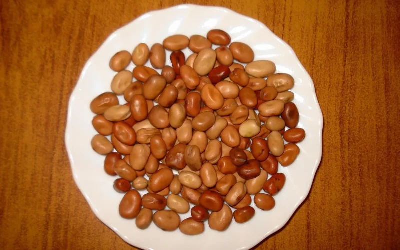 fasola fava, jedzenie, talerz, prezentacja, zbliżenie, makro, prezentacja brązowa