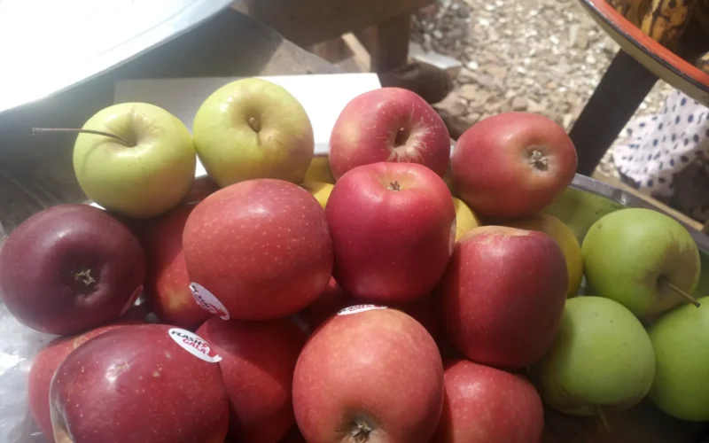 Apple fruit