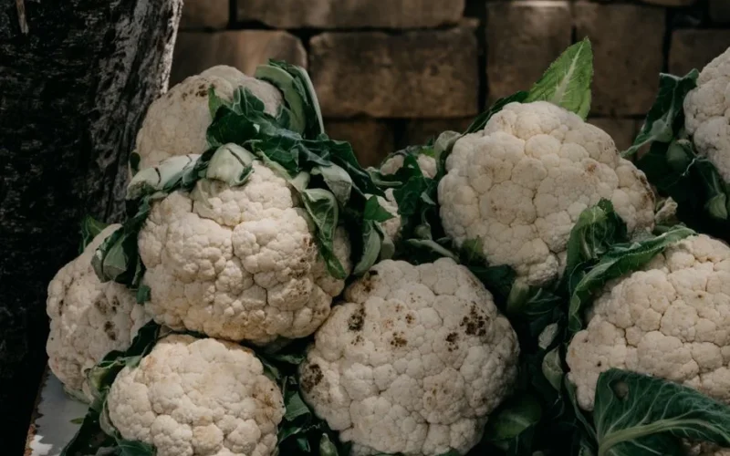 A close-up of fresh and raw organic cauliflowers with leaves, perfect for healthy cooking.