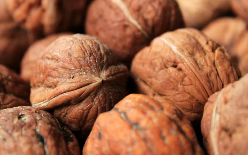 walnut, nut, brązowy, fruit bowl, appetizer, pyszny, zdrowy, natural product, in the fall, przekąska, jesień