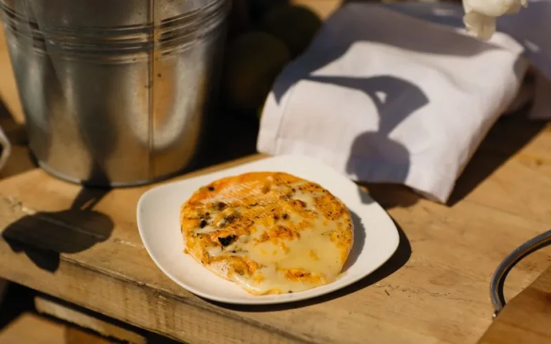 Close-up of grilled cheese on a plate, set on a rustic wooden table outdoors.