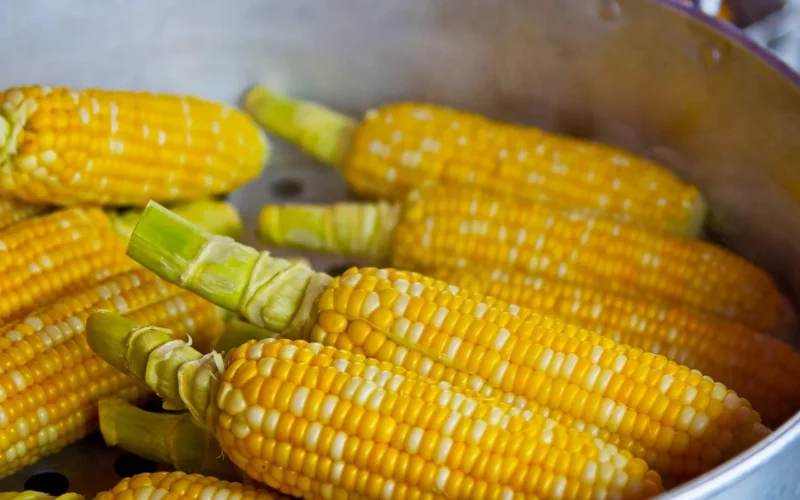 popcorn, żółty, prażona kukurydza, jedzenie, odżywianie, jeść, składnik, kukurydza, kukurydza, kukurydza, kukurydza, kukurydza, kukurydza