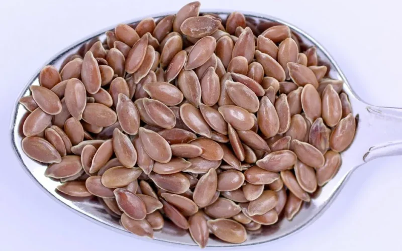 High-resolution close-up of flaxseeds on a metal spoon, showcasing detail and texture.