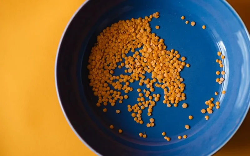 Close-up of dried orange lentils scattered in a blue bowl on a yellow background.