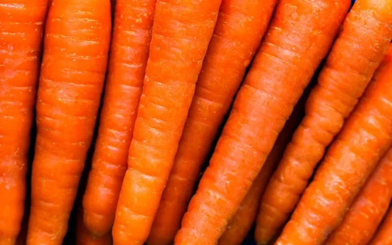 Fresh organic carrots closely stacked together, showcasing vibrant orange hues and healthy textures.