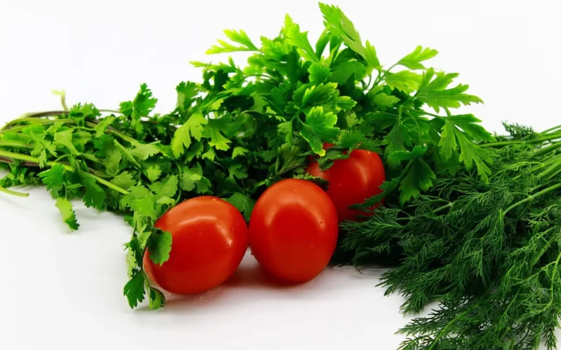 white background, zieloni, pietruszki, koperek, cilantro, tomatoes, czerwony, plum-shaped, jeden, three, lie semicircle, jedzenie, vegetables, natura, nutrition, raw, clean, sałatka, dieta, wiosna, summer, zbiór, lose weight