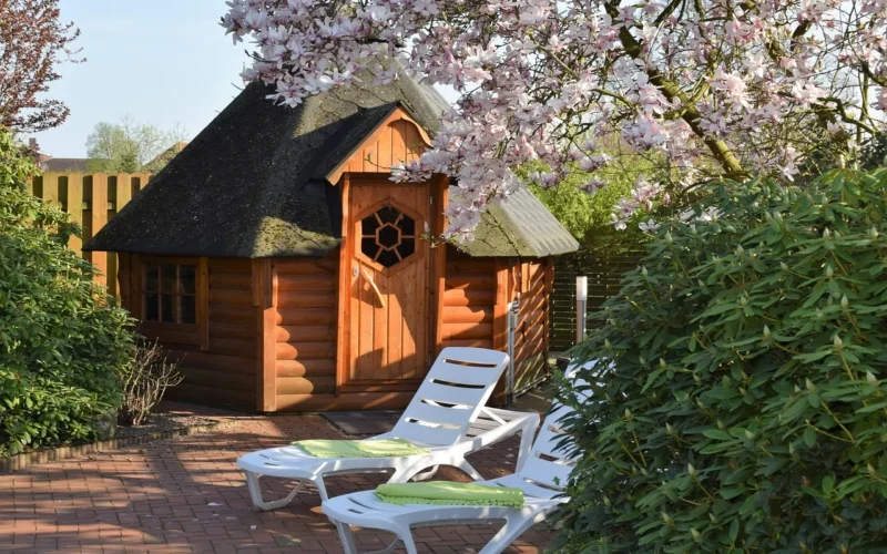 drewno, dom, drzewo, ogród, natura, sauna, basen sauna, strefa ciszy, odnowy biologicznej, pocić się, drewniana sauna, relaks, weź saunę, sauna fińska, sauna zewnętrzna, gorąco, odzyskiwać