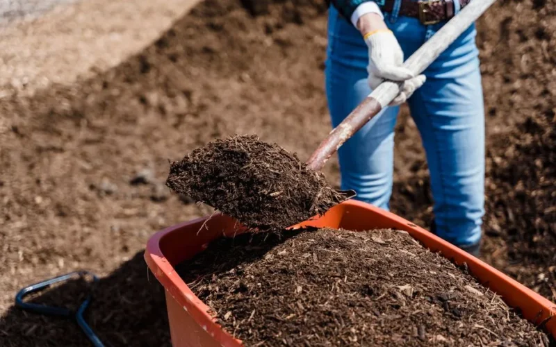 A person shovels compost into a red container, preparing soil for gardening.