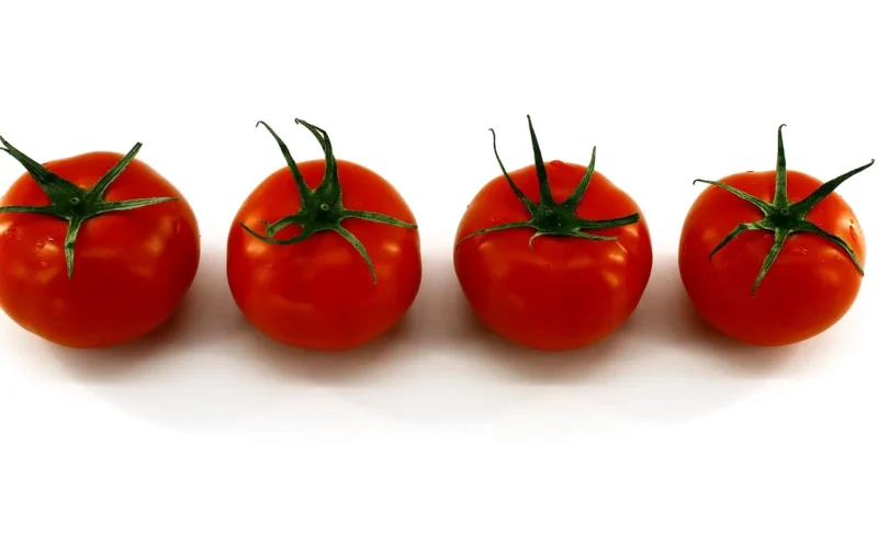 white background, red tomatoes, świeży, vegetables, clean, four tomatoes, with green sprig, washed, jedzenie, nutrition, zdrowy, juicy, pyszny, vegetarian, raw food, live food, raw