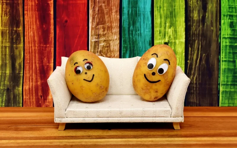 couch potatoes, zabawa, ziemniaki, leniuchowanie, sofa, kanapa, uroczy, twarze, mało, razem, usiąść, zabawny, drewno