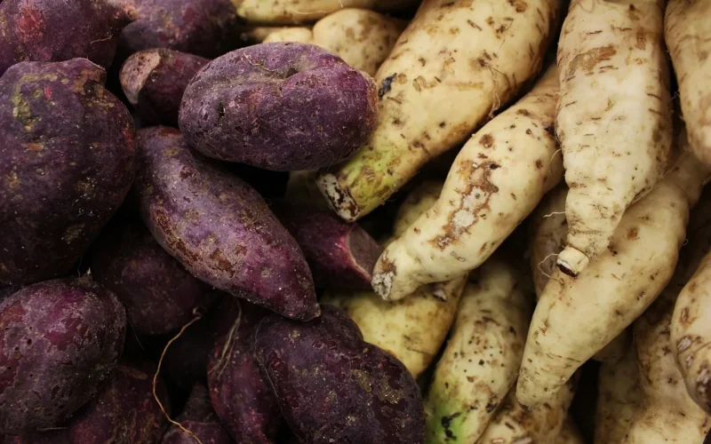 sweet potato, sweet potato background, tapeta 4k, potato, ziemniaki, tapeta na laptopa, purple potato, tapeta systemu windows, darmowe tło, brazilian potato, tapeta 4k 1920x1080, brazilian potatoes, jedzenie, tła pulpitu, sweet, healthy, vegetable, tapeta hd, fresh, darmowe tapety, organic, raw, tapeta w pełnej rozdzielczości, root, zbliżenie, agriculture, tło, fajne tła, piękna tapeta, yam, wegańskie, vegetarian, cooking, tapeta na mac, ingredient