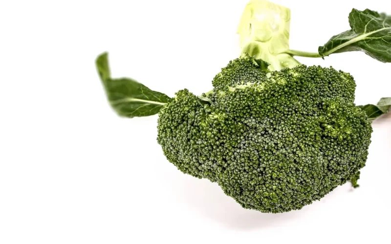 jedzenie, vegetables, cabbage, broccoli, zielony, whole, white background