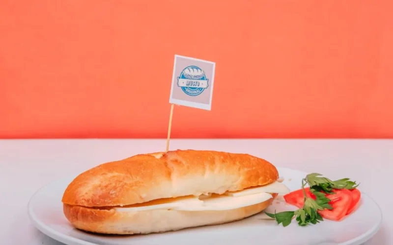 A delicious sandwich with cheese served on a plate with garnish against a vibrant orange backdrop.