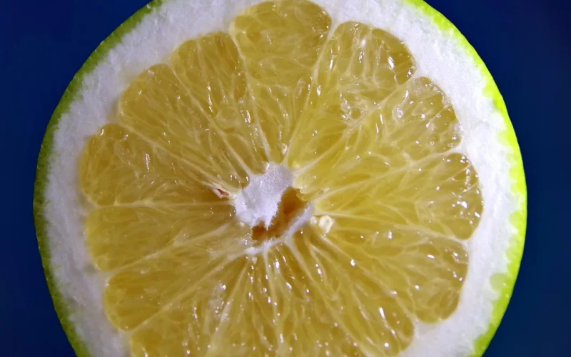grapefruit, grejpfrut, owoc, cytrus, zielony, gorzki, słodki, plaster, jedzenie, wnętrze grejpfruta, żywność, soczystość, świeże, zdrowa, witaminy, rozcięty owoc