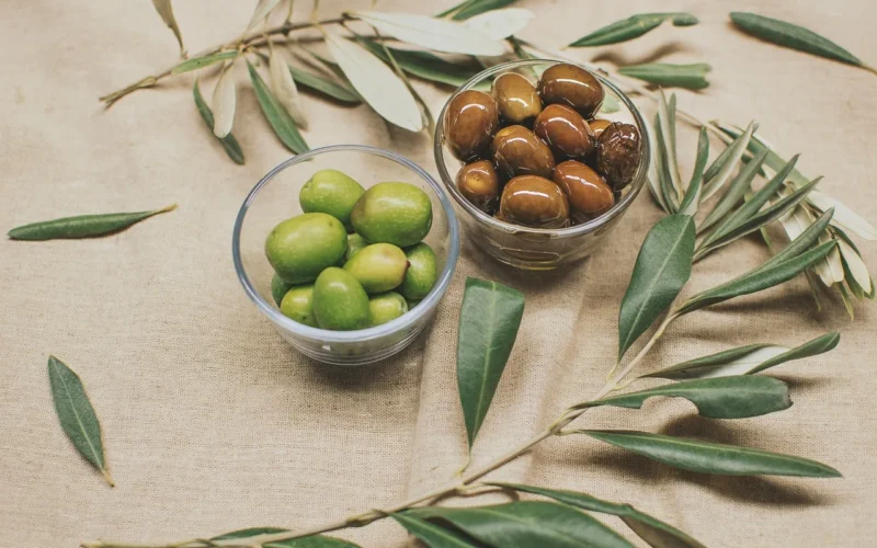 olives, green, mediterranean, olive, grecja, green, grecja, grecja, grecja, grecja, grecja