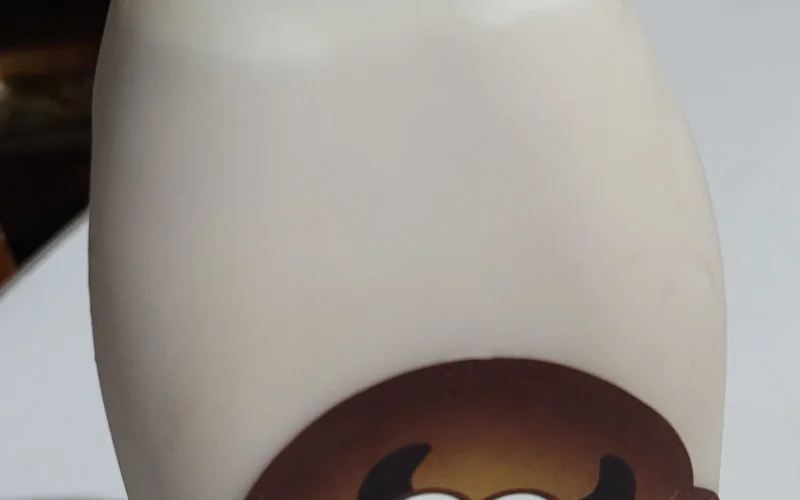 Chocolate-flavored carabao milk (Philippines)