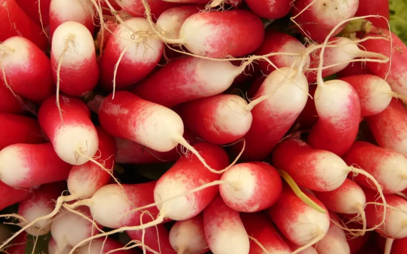 Radishes.