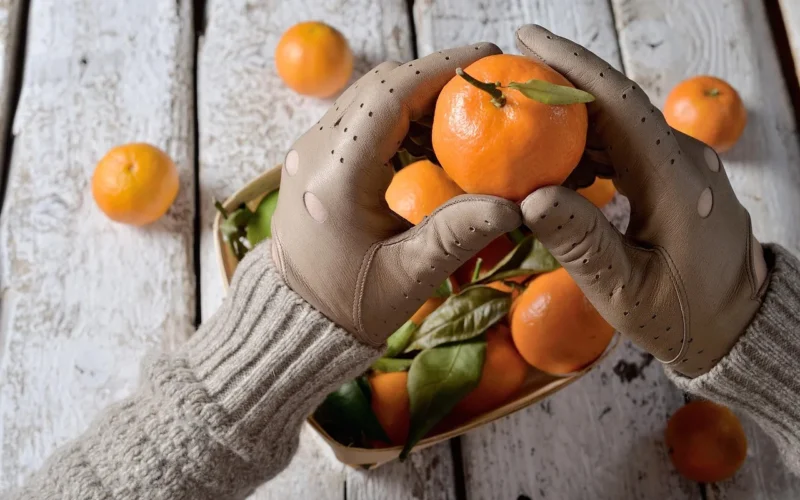 leather gloves, driving gloves, gloves, moda, ręka, human hand, rustykalny, jedzenie, owoc, warzywo, orange fruit, healthy eating, tangerine, nature, vegetarian food, ripe, elegance, women, rękawice, zdrowe odżywianie, strony, skórzane rękawiczki, owoce, wegetarianie