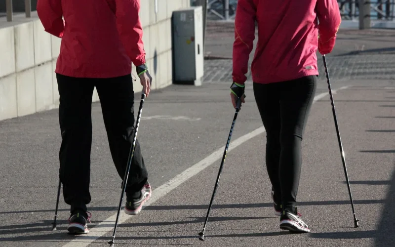 nordic walking, lato, natura, zdatność, odzież sportowa, miasto, laski, fiński fitness, różowy, facet, ćwiczenia, sport, obuwie
