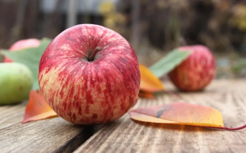 apples, owoc, red apple, green apples